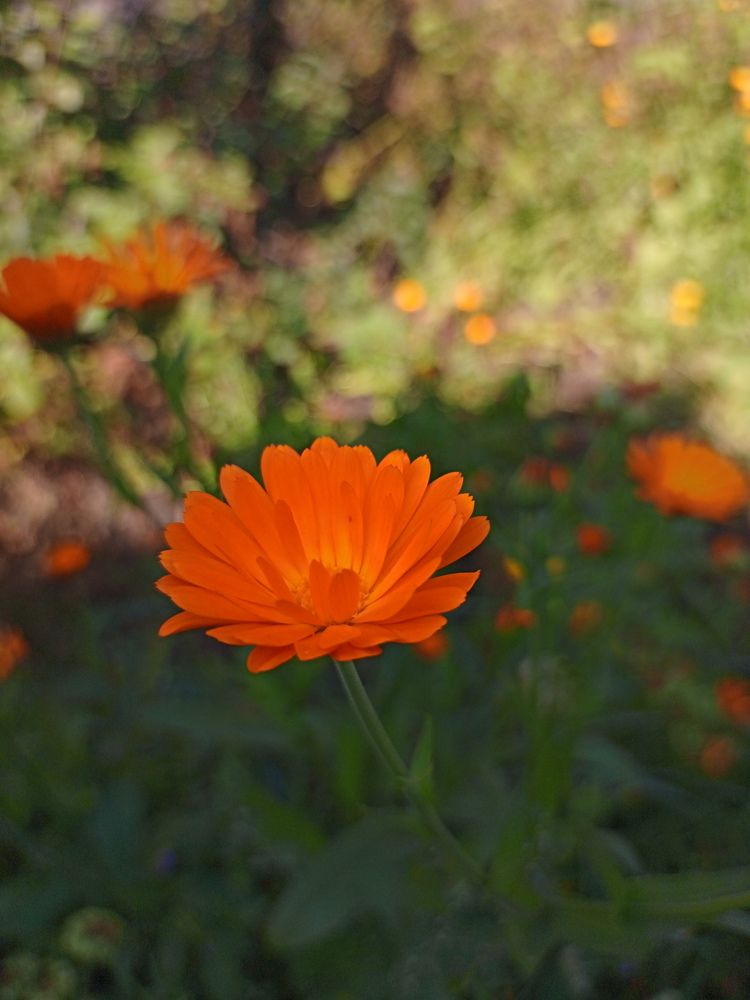 Photograph by Андрей Вольф