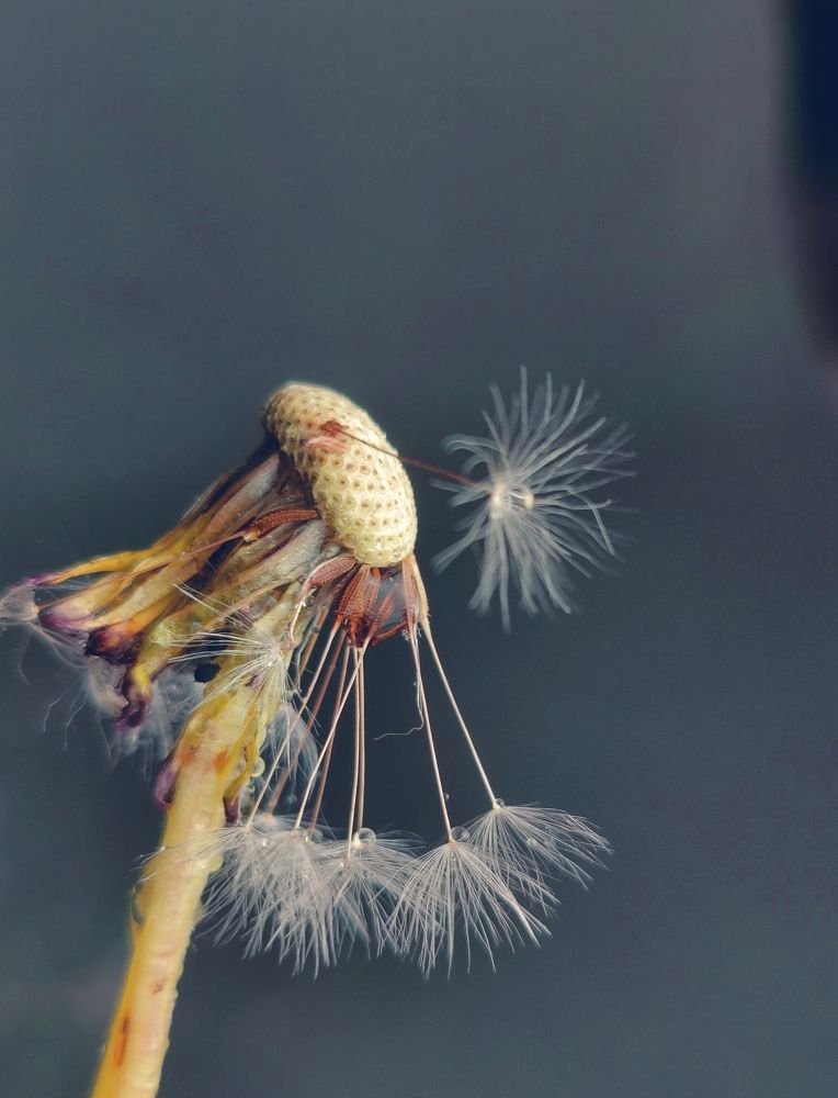 Photograph by Татьяна Гулакова