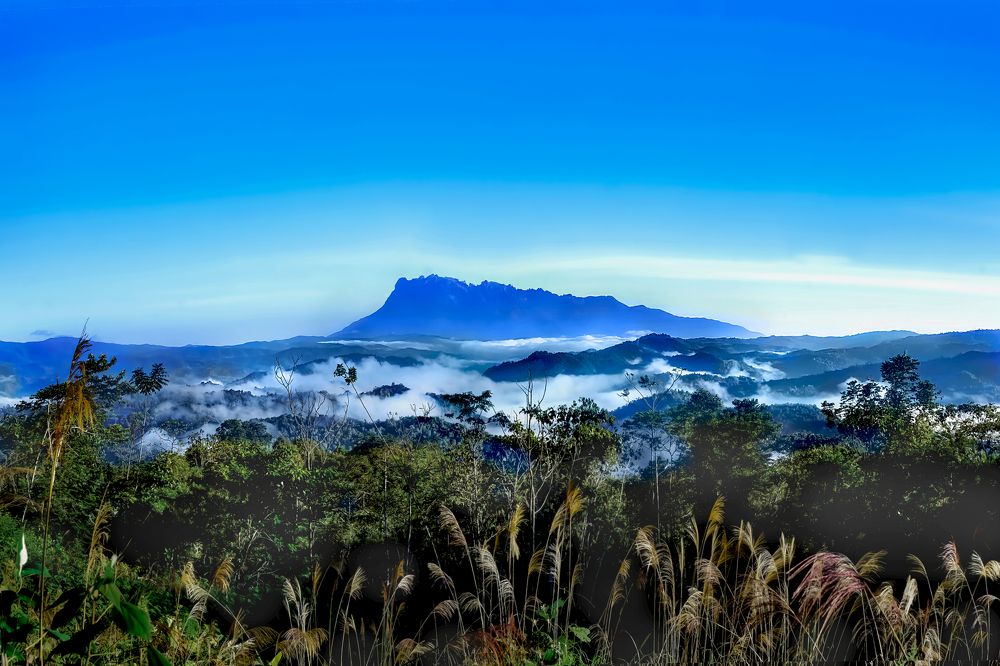 Photograph by Chee Fui Chin