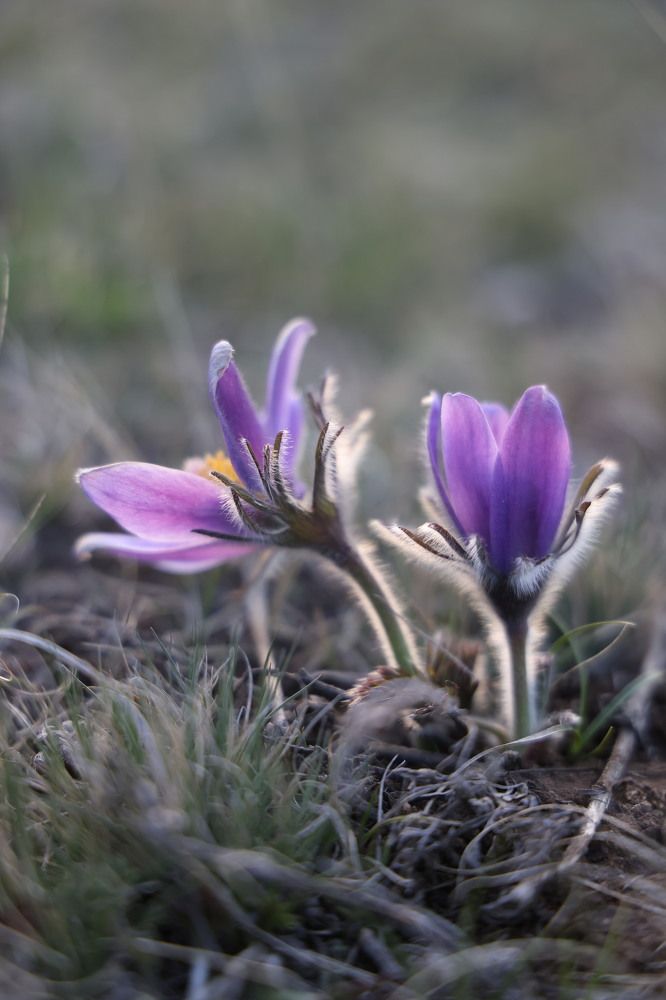 Photograph by Евгения Казакова