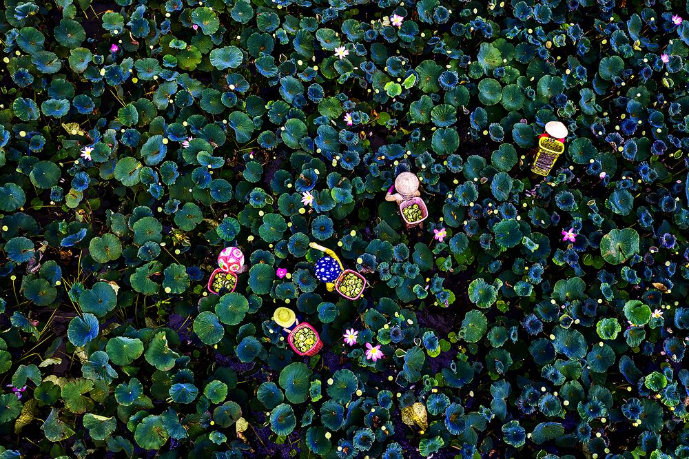 Photograph by Phúc Đoan Nguyễn