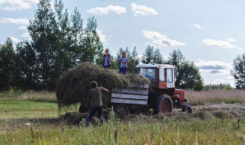 Photograph by Зеленько Дмитрий