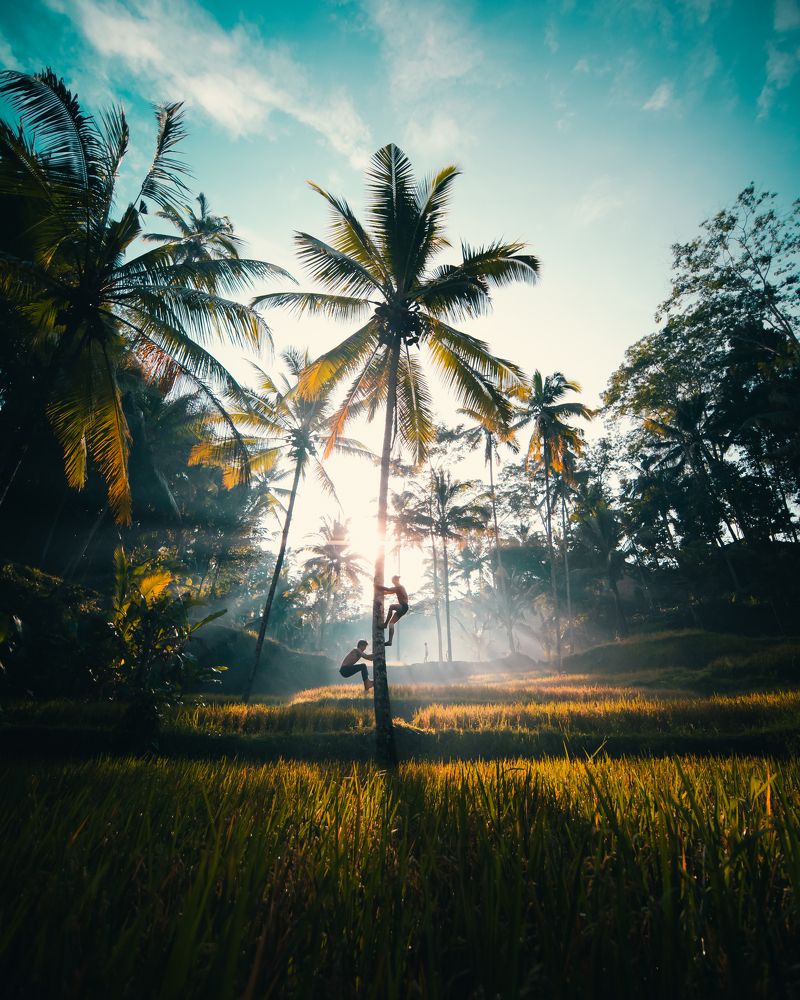 Photograph by Ayush Tripathi