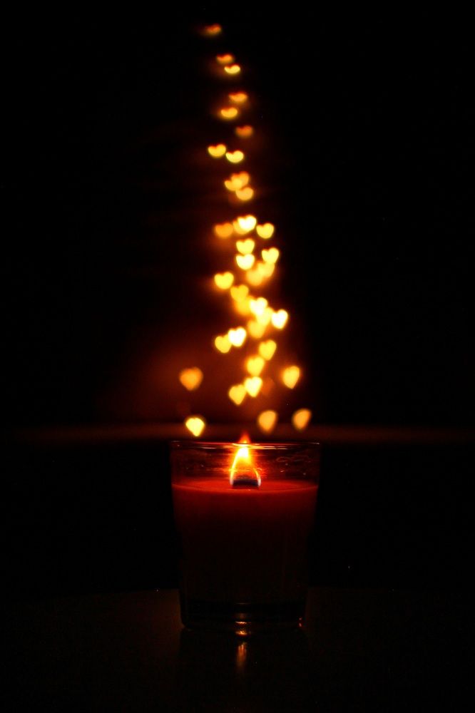 Фотография автора Елена Мурашова