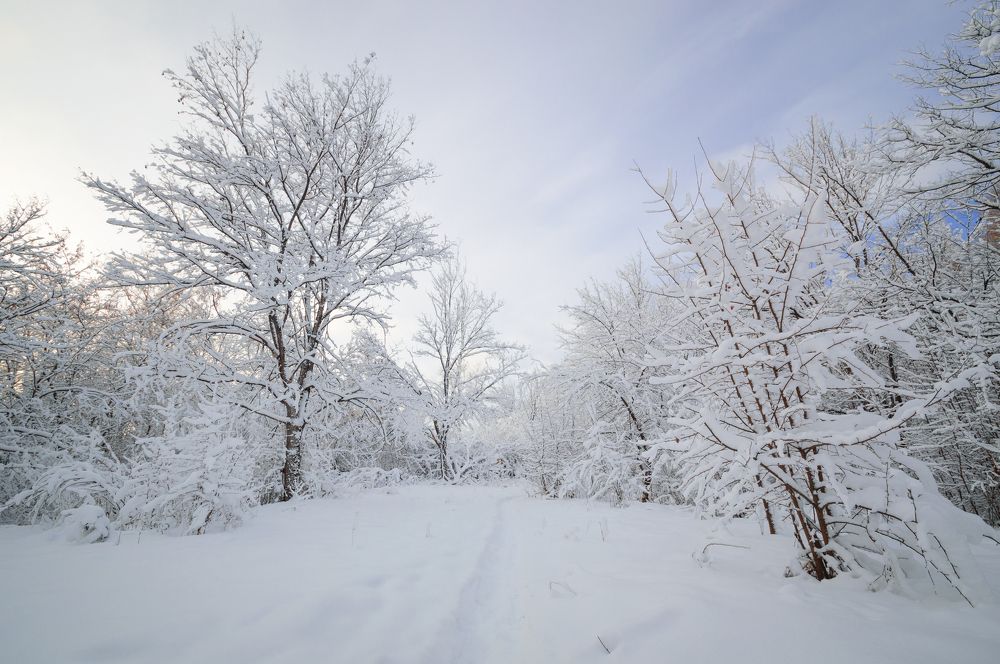 Photograph by Максим Маркин