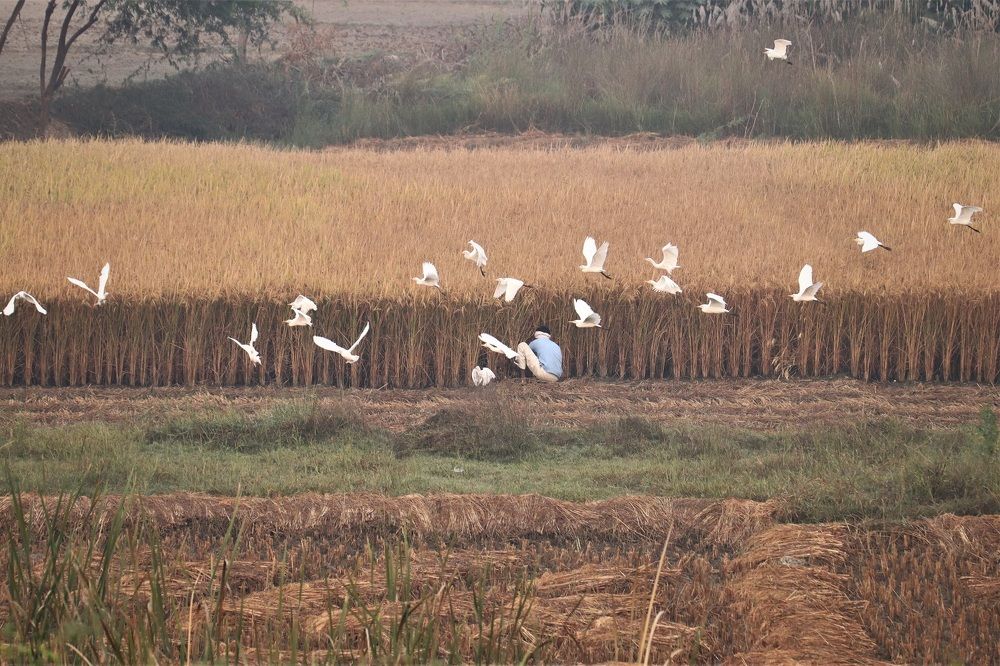 Photograph by pankaj kapoor