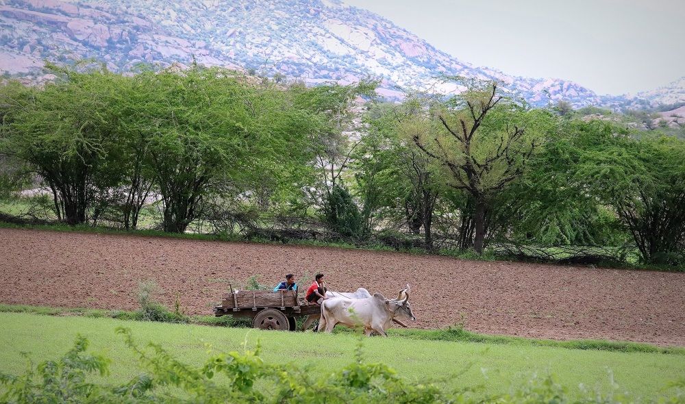 Photograph by pankaj kapoor