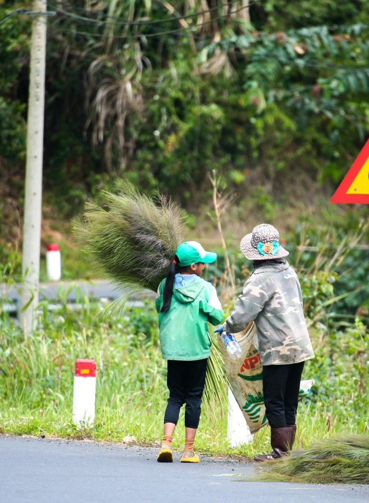Photograph by Hoàng gia Huy