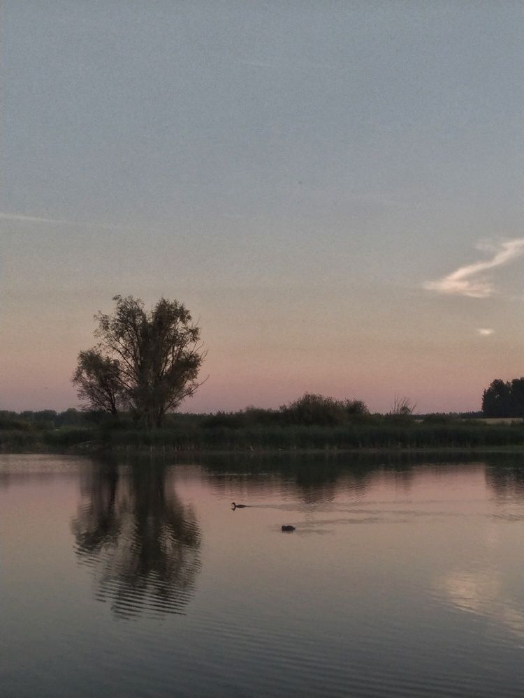 Photograph by Елена Гусева