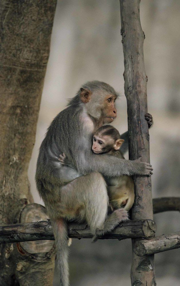 Photograph by Hoàng gia Huy