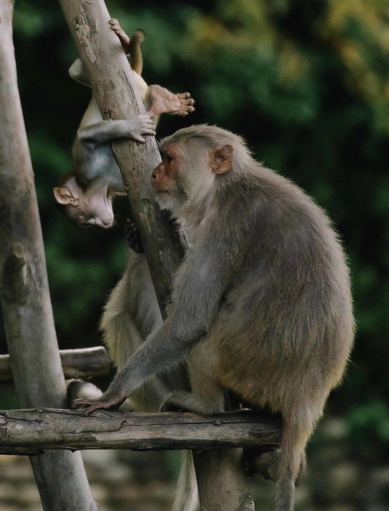 Photograph by Hoàng gia Huy