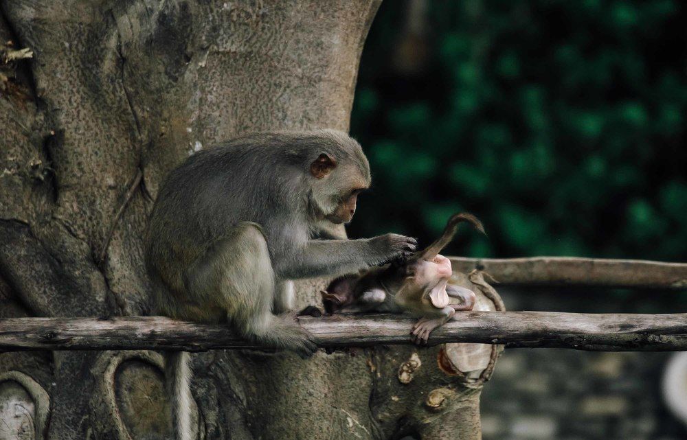 Photograph by Hoàng gia Huy