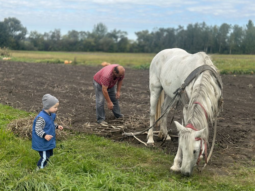 Photograph by Яна Василенко