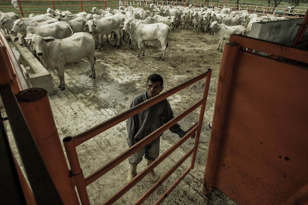 Photograph by Nicola Rocco