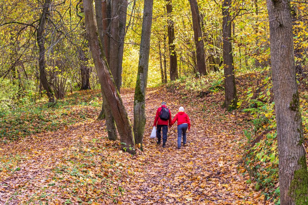 Photograph by Валерий Петухов