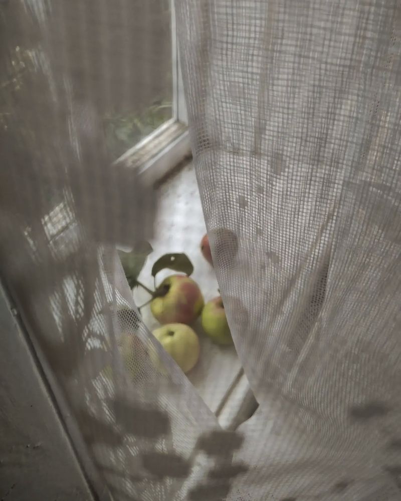 Photograph by Елена Гусева