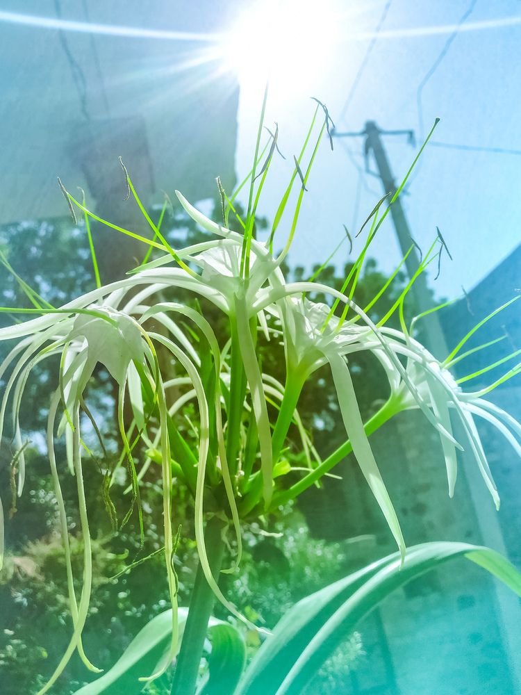 Photograph by Dushyant Siyag