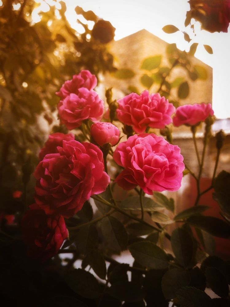 Photograph by Dushyant Siyag