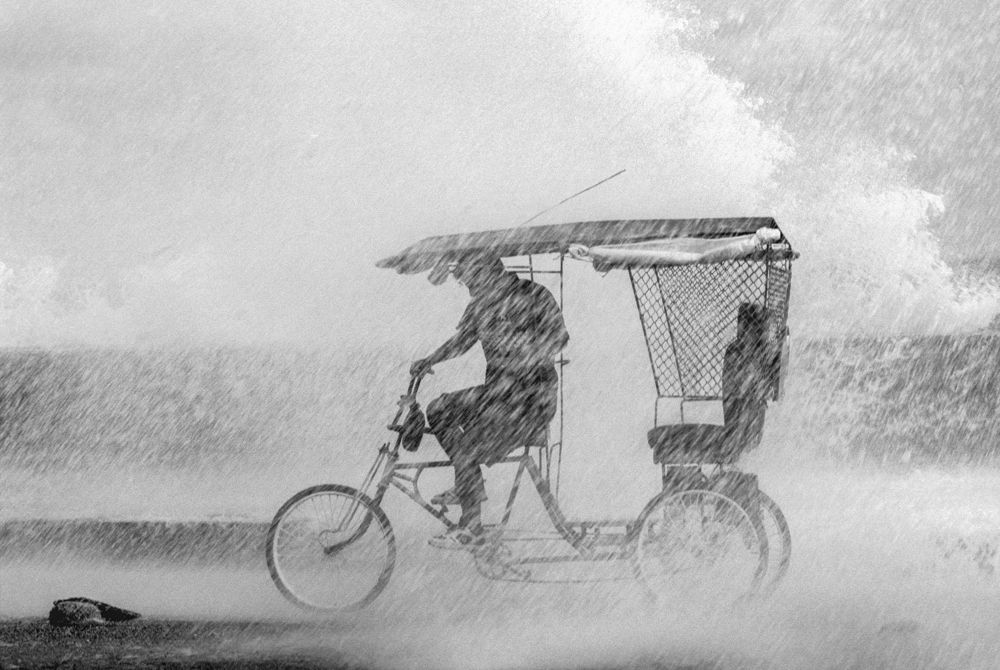 Photograph by gustavo gatto