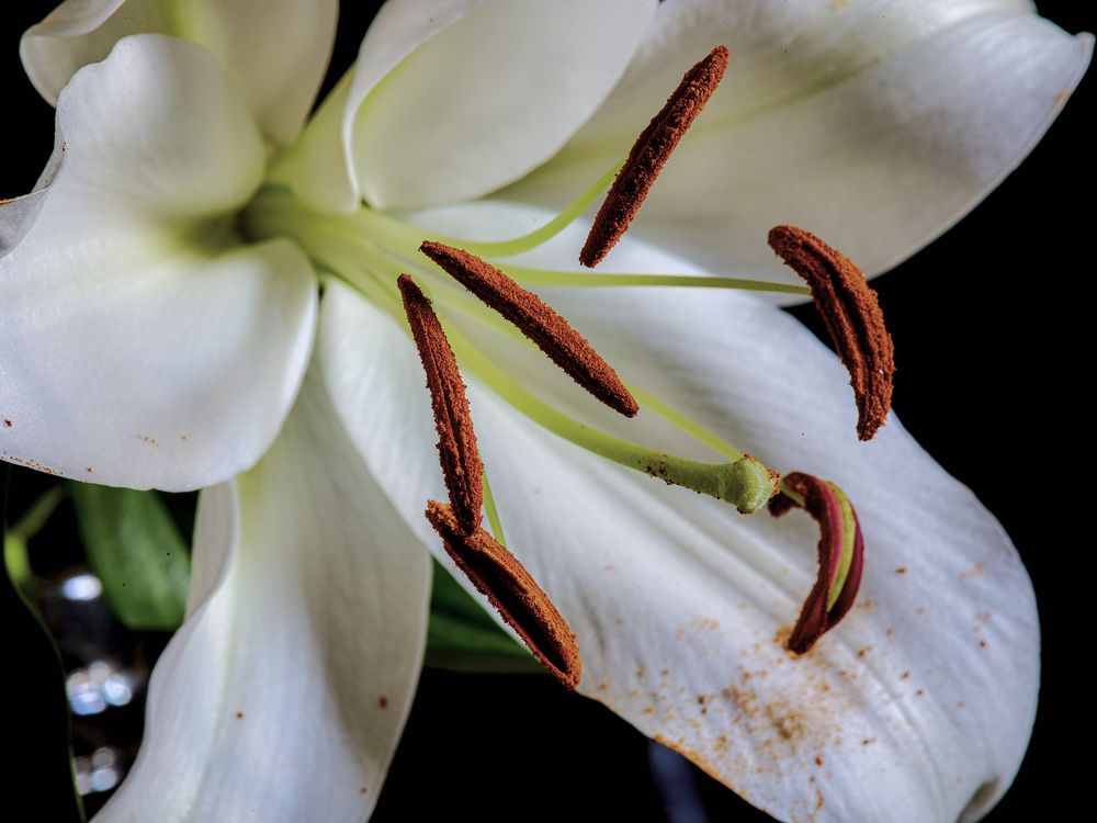 Photograph by Aleksandr Belov