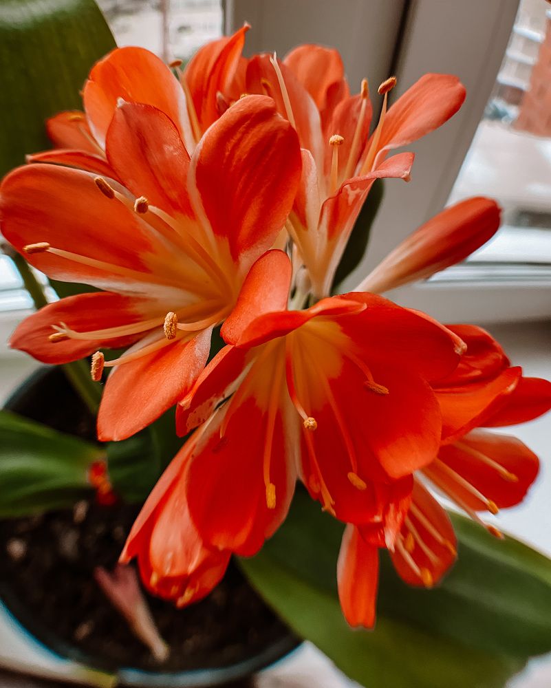 Photograph by Виктория Лаур