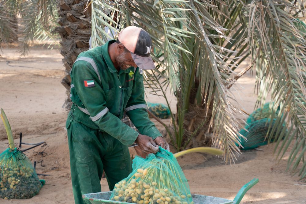 Фотография автора Kirtesh Mahant