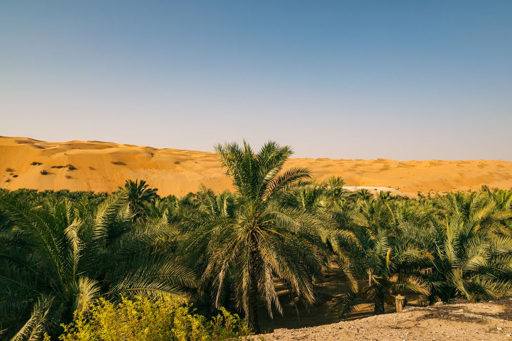 Фотография автора Kirtesh Mahant