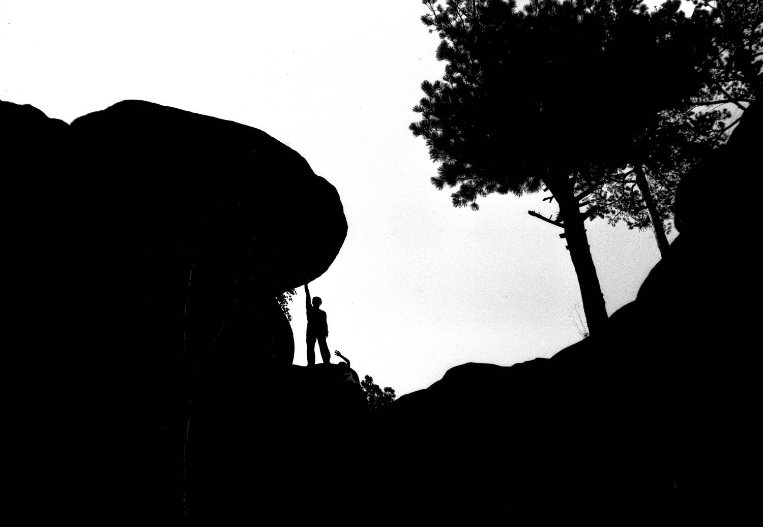 Photo #9546012