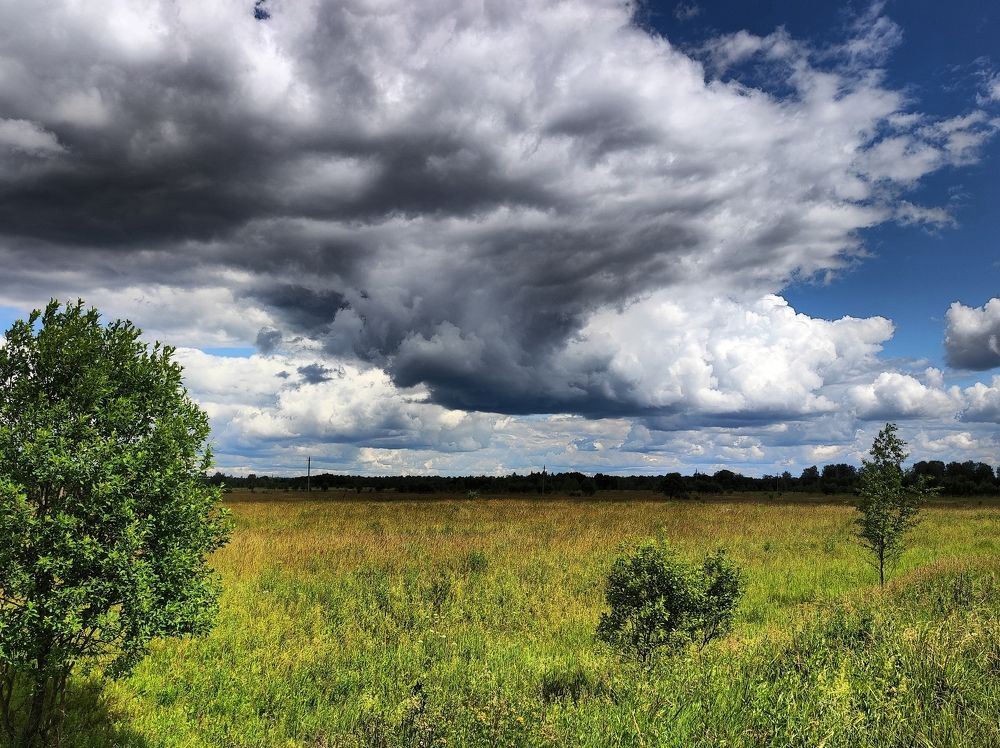 Фотография автора Татьяна