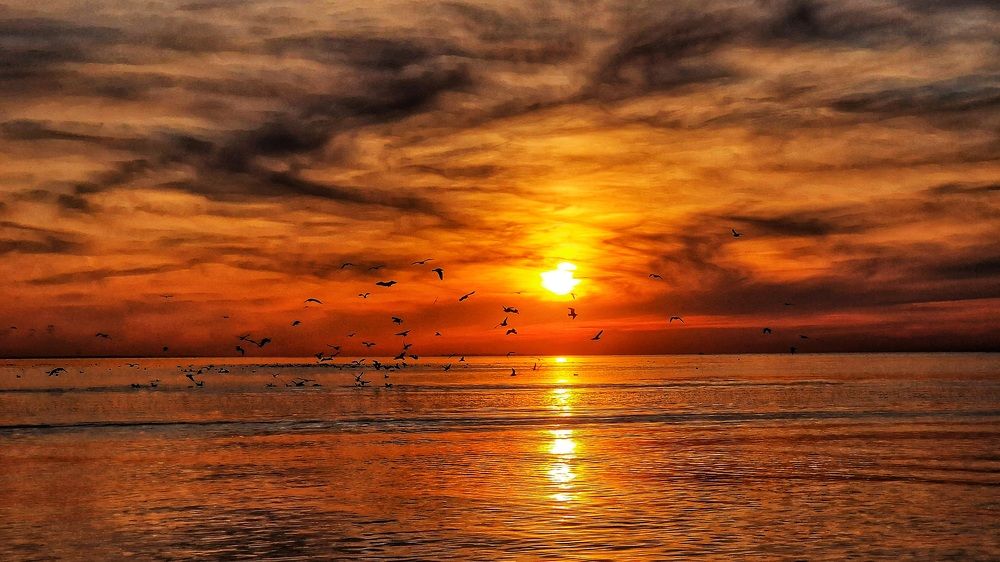 Photograph by Vera Nefedova