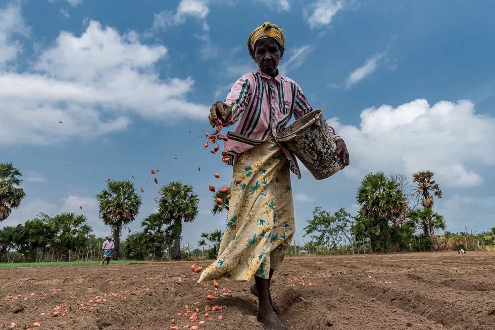 Photograph by Abdul hameed Thahir