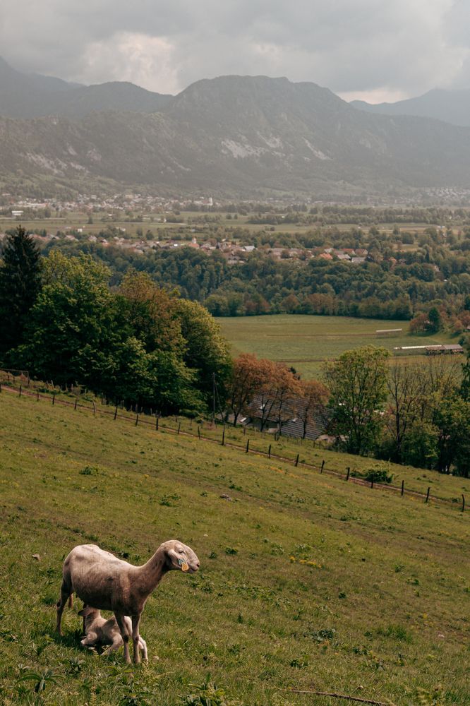 Photograph by Vialeta