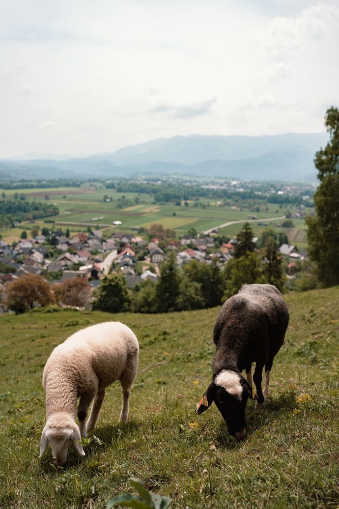 Photograph by Vialeta