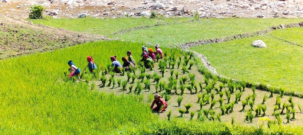 Фотография автора Dil Bahadur Singh