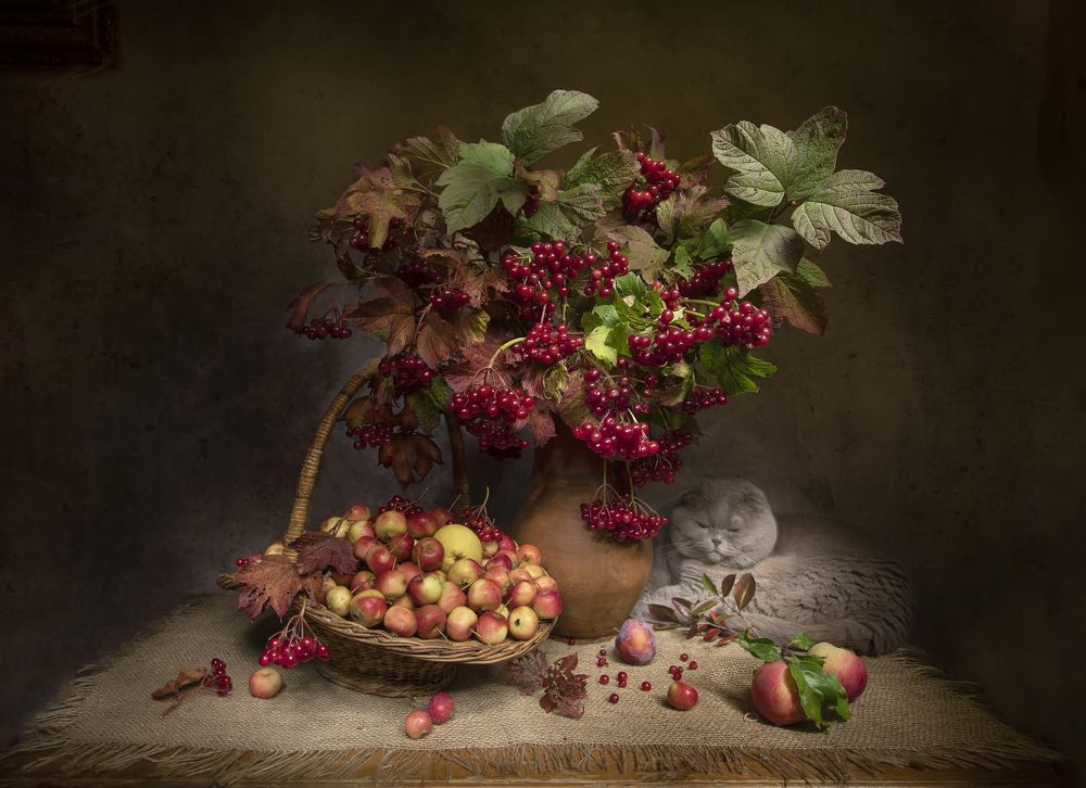 Photograph by Татьяна Феденкова