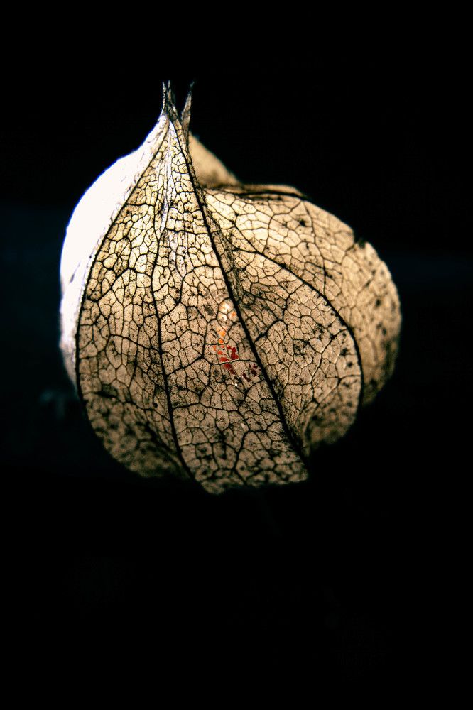 Фотография автора Ирина Гриценко