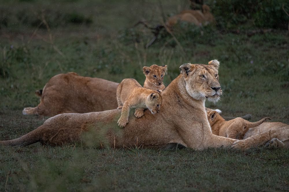 Photograph by Jayakumar MN