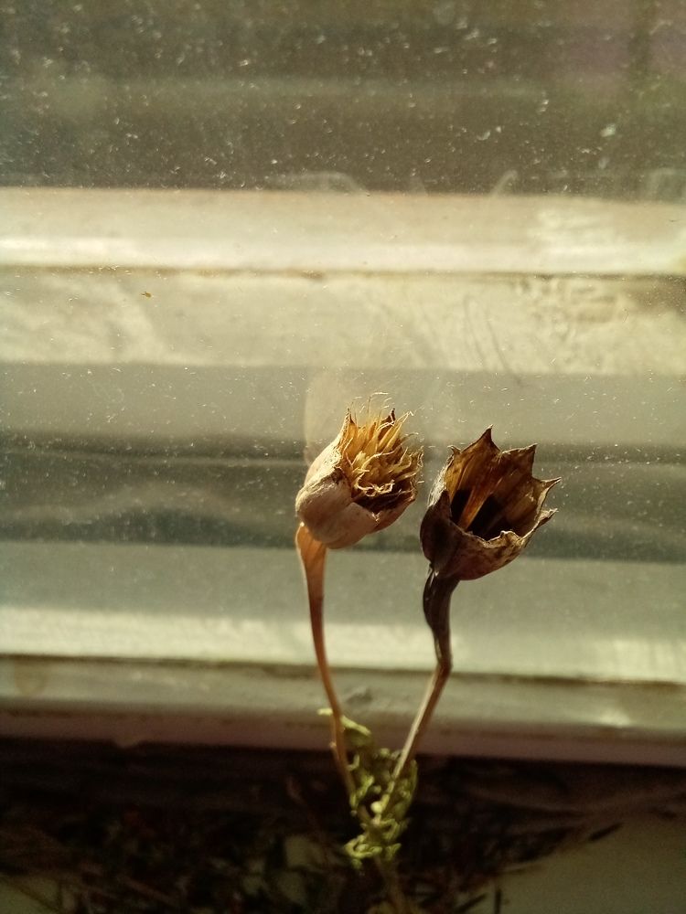 Photograph by Людмила Баглей