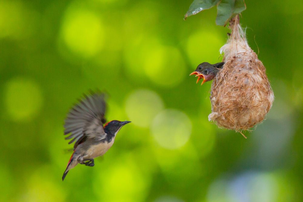 Photograph by Hoang Minh