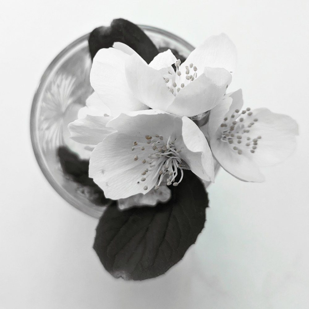 Photograph by Екатерина Абрамова