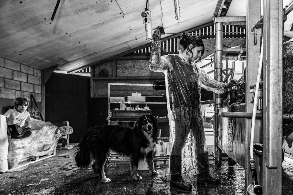 Фотография автора Linda Celis