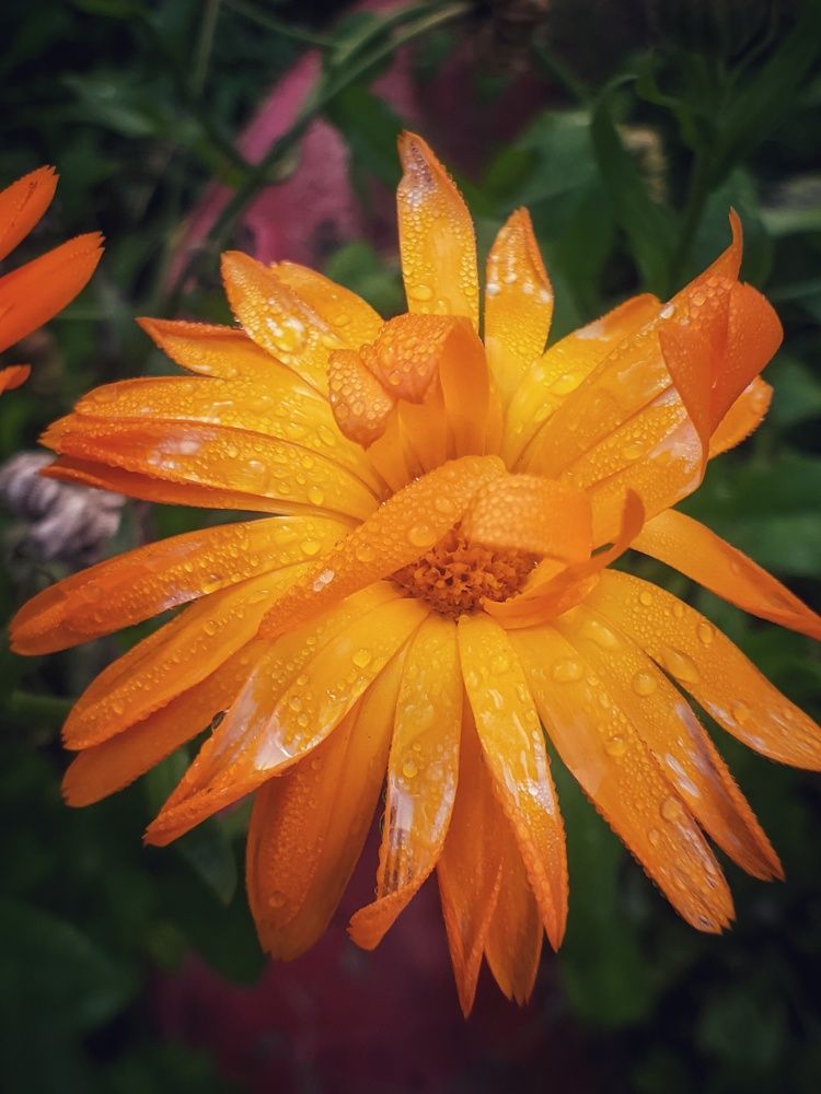 Photograph by Lev Kaufman