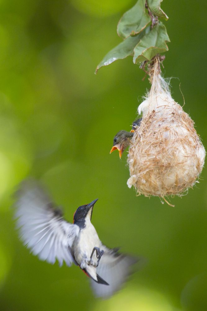 Photograph by Hoang Minh