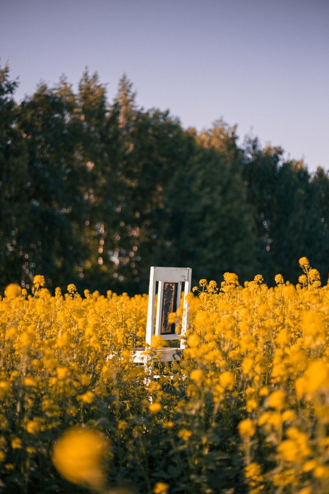 Photograph by Елена Квасова