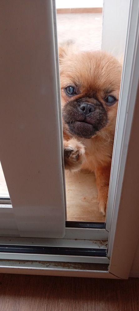 Photo #9546335