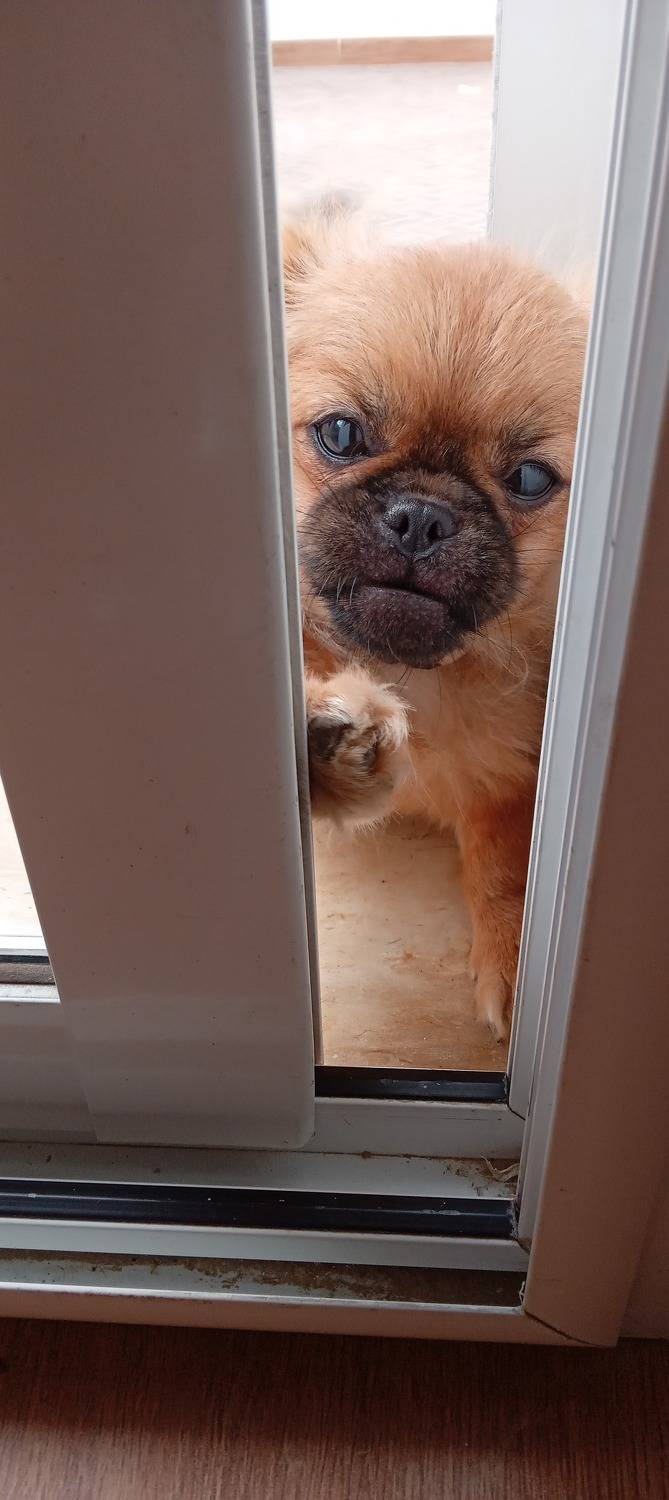 Photo #9546335