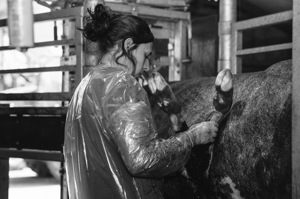 Фотография автора Linda Celis