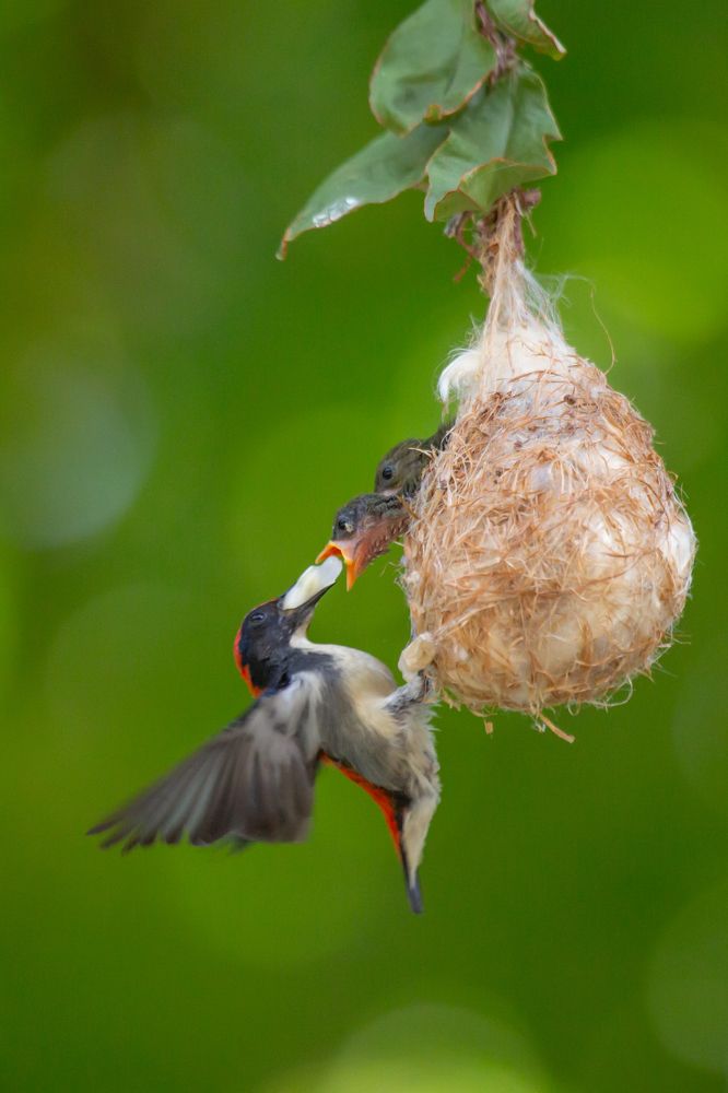 Photograph by HOANG MINH