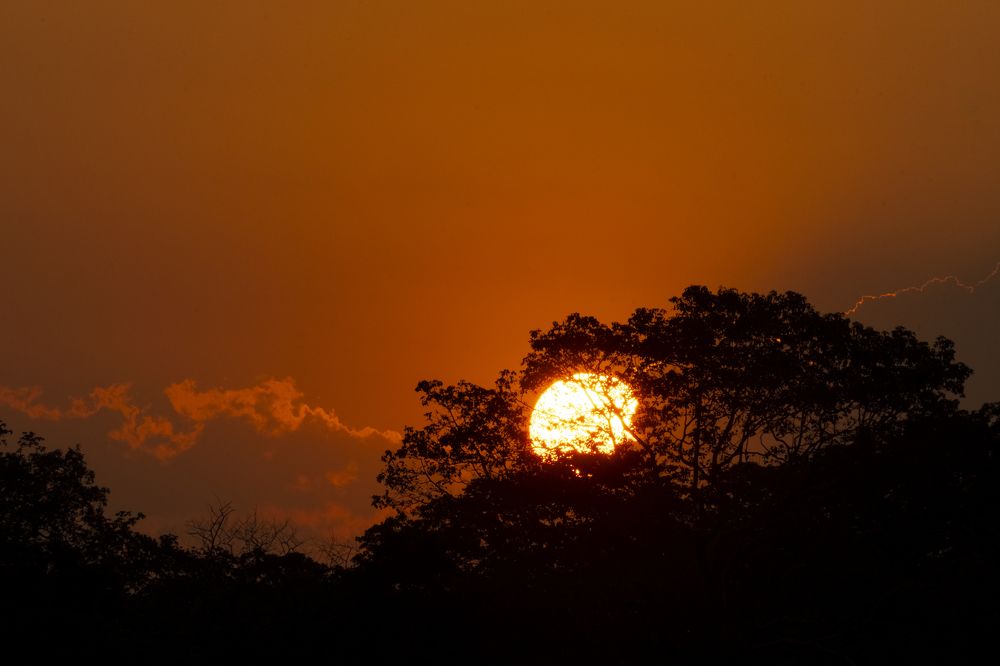 Photograph by Äddî Biswas