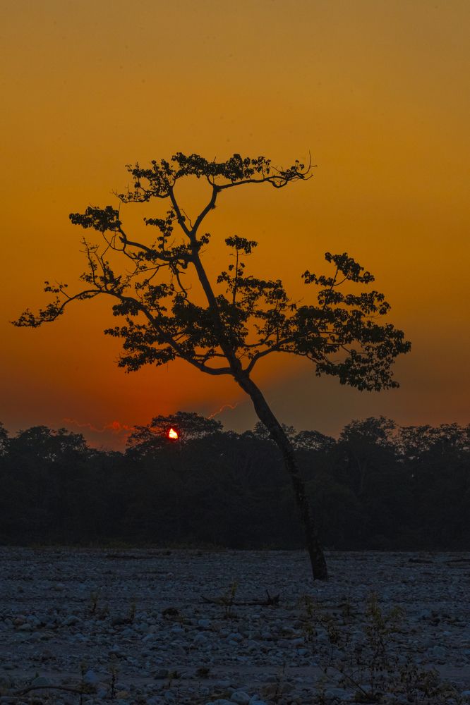 Photograph by Äddî Biswas